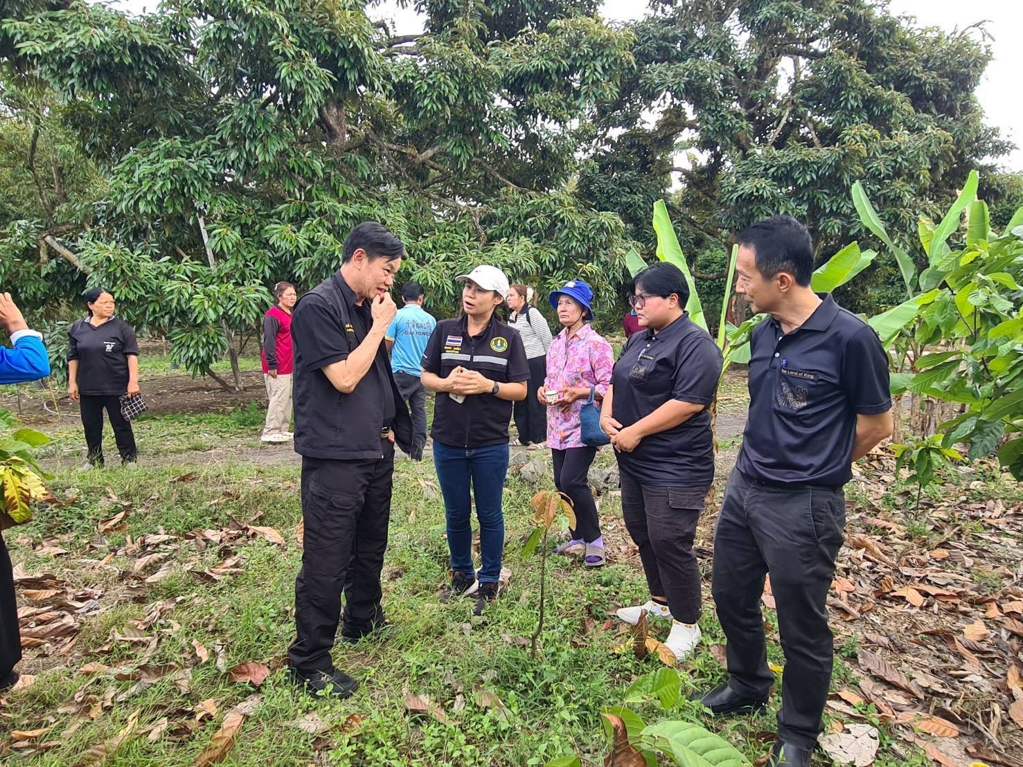 title - ผู้ตรวจราชการกรม ประชุมติดตามผลการดำเนินงานตามแผนการตรวจราชการของ ส.ป.ก. ประจำปีงบประมาณ พ.ศ. 2569 รอบที่ 1 จังหวัดประจวบคีรีขันธ์